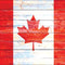 Canada Flag Light Wood Xbox Series S Skins
